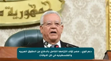 دعم قوي.. مصر تؤكد التزامها الكامل بالدفاع عن الحقوق العربية والفلسطينية في كل الأوقات